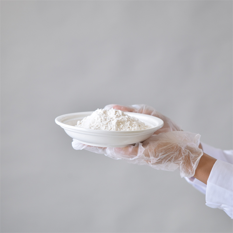 Adenosine 5â-triphosphate disodium iyọ CAS 987-65-5